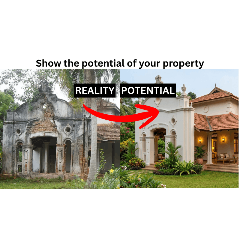 Website Design & Development